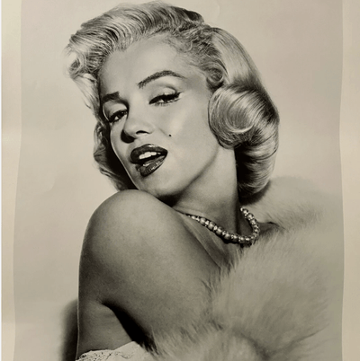 Celebrity Posters - posterhubs.com