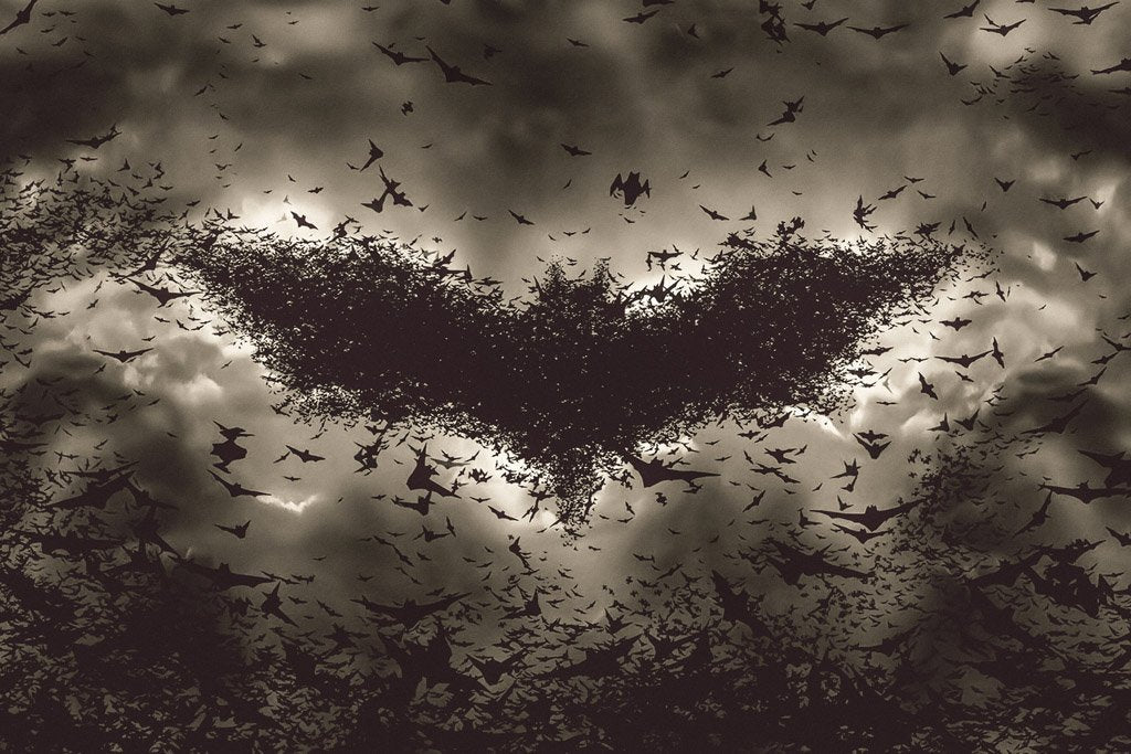 The Dark Knight Rises (2012) IMDB Top 250 Movie Canvas Poster