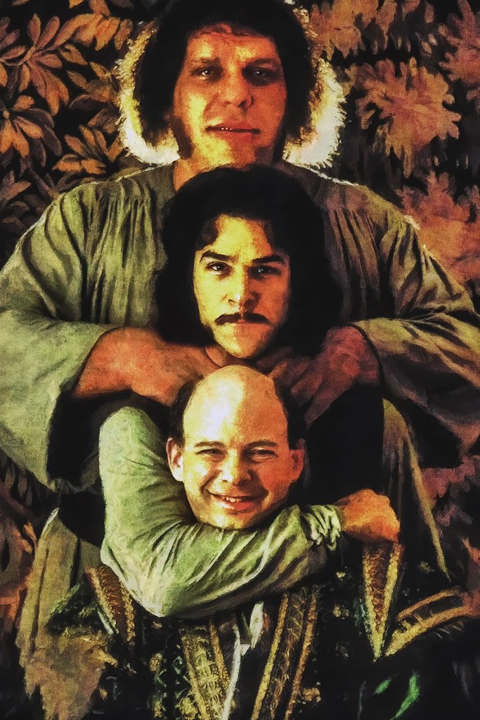 The Princess Bride (1987) Film Canvas Poster