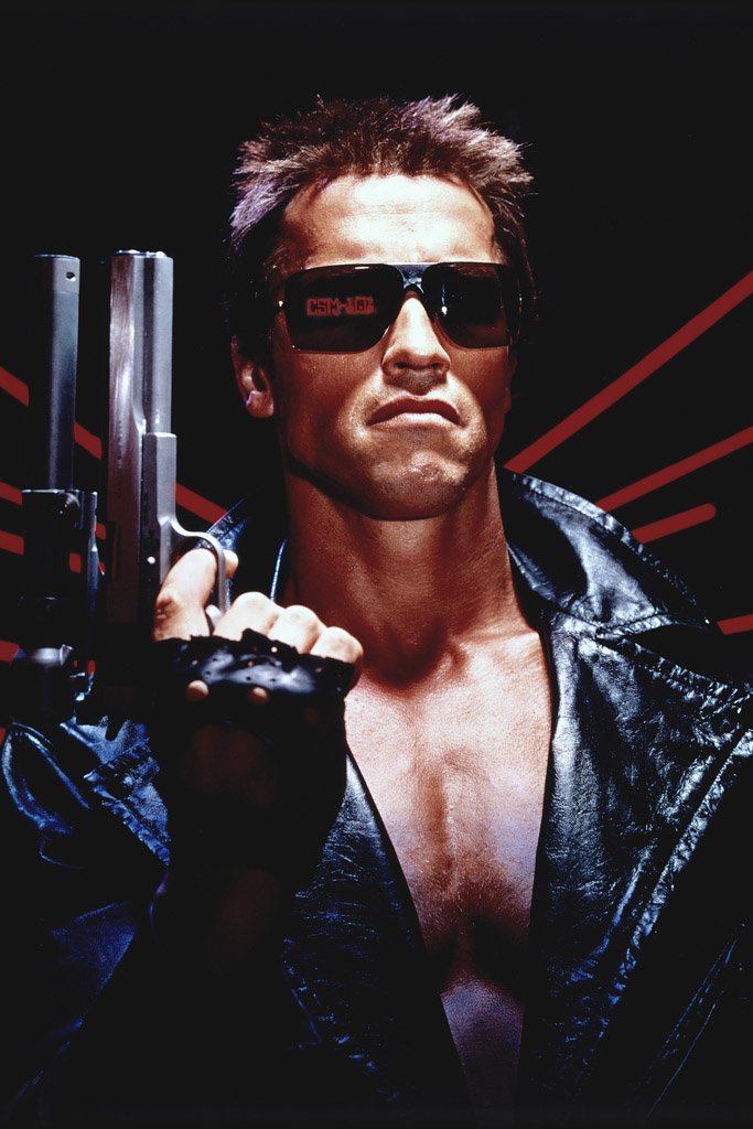The Terminator (1984) Movie Canvas Poster