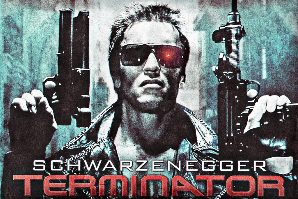 The Terminator (1984) Movie IMDB Top Canvas Poster