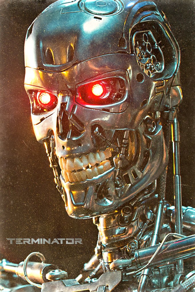 The Terminator (1984) Film Movie Canvas Poster