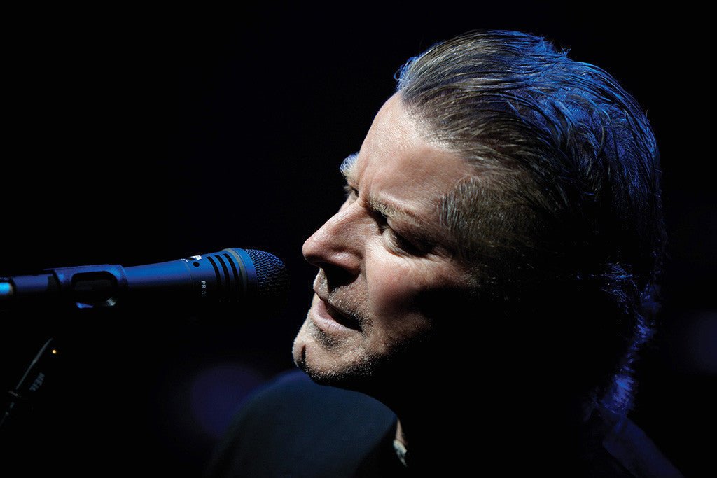 Don Henley Classic Rock Star Band Poster - posterhubs.com
