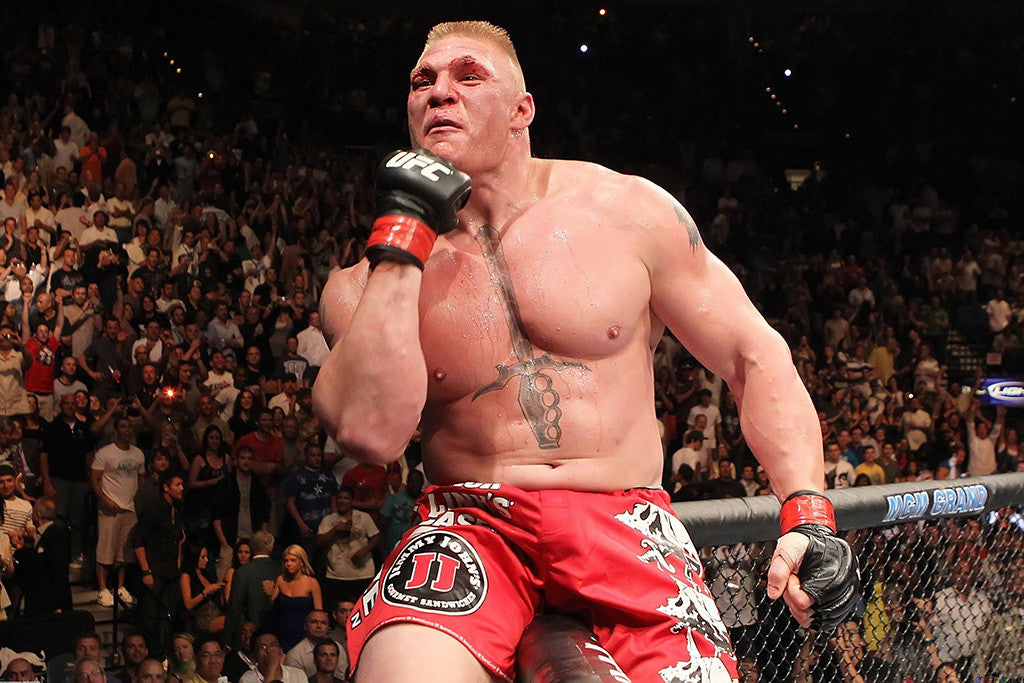 Brock Lesnar WWE MMA Fighter Poster