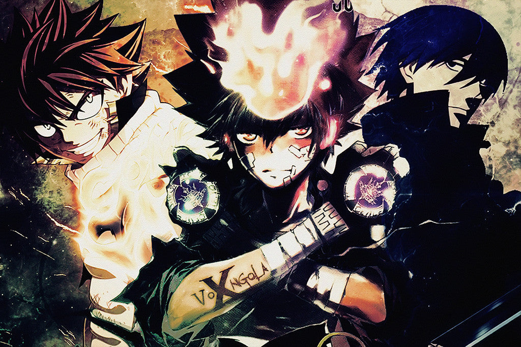 Fairy Tail Characters Poster