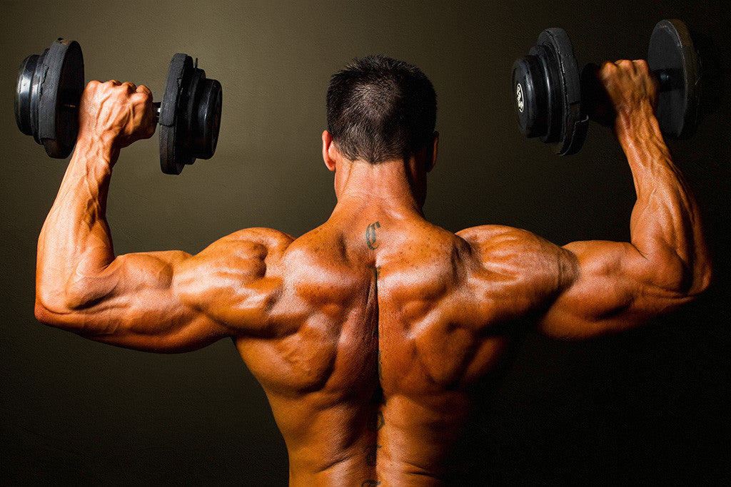 Bodybuilding Fitness Motivational Poster