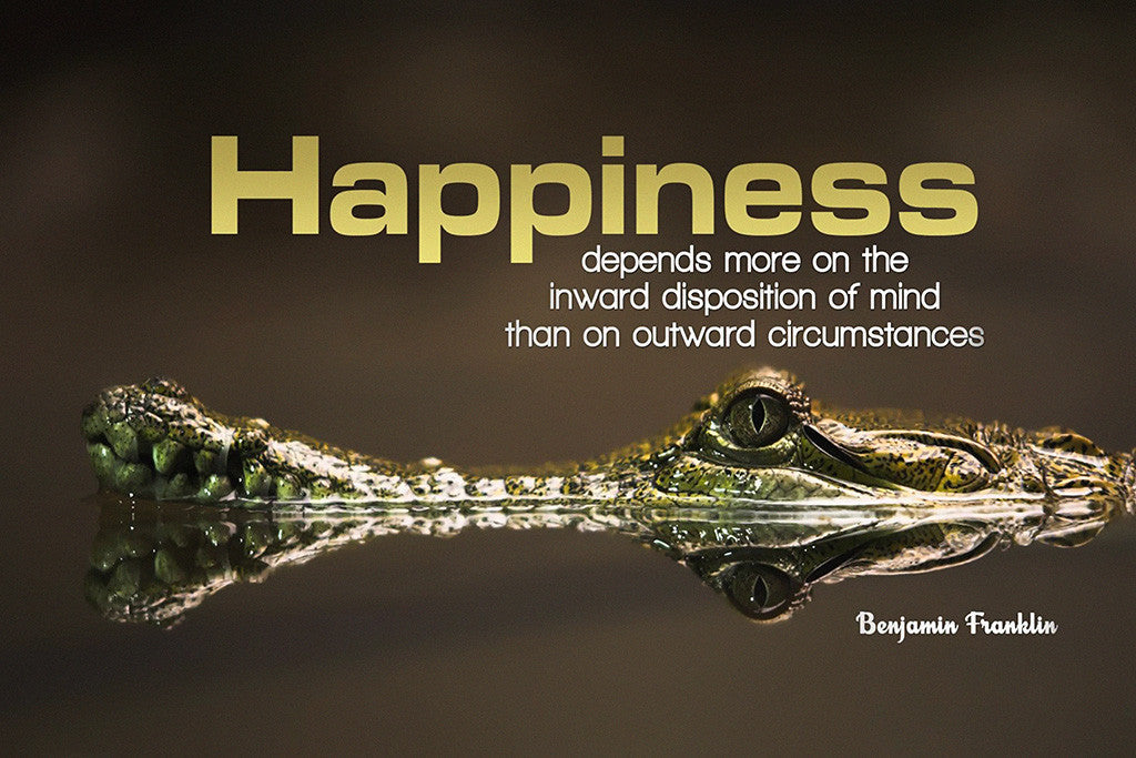 Benjamin Franklin Happiness Quote Poster