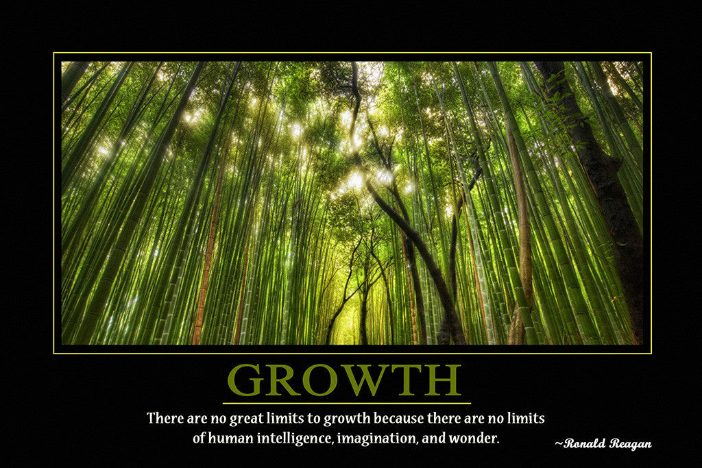 Ronald Reagan Inspirational Quote Poster