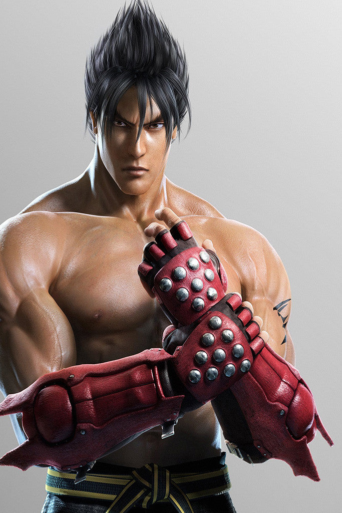Jin Kazama Tekken Fighter Poster
