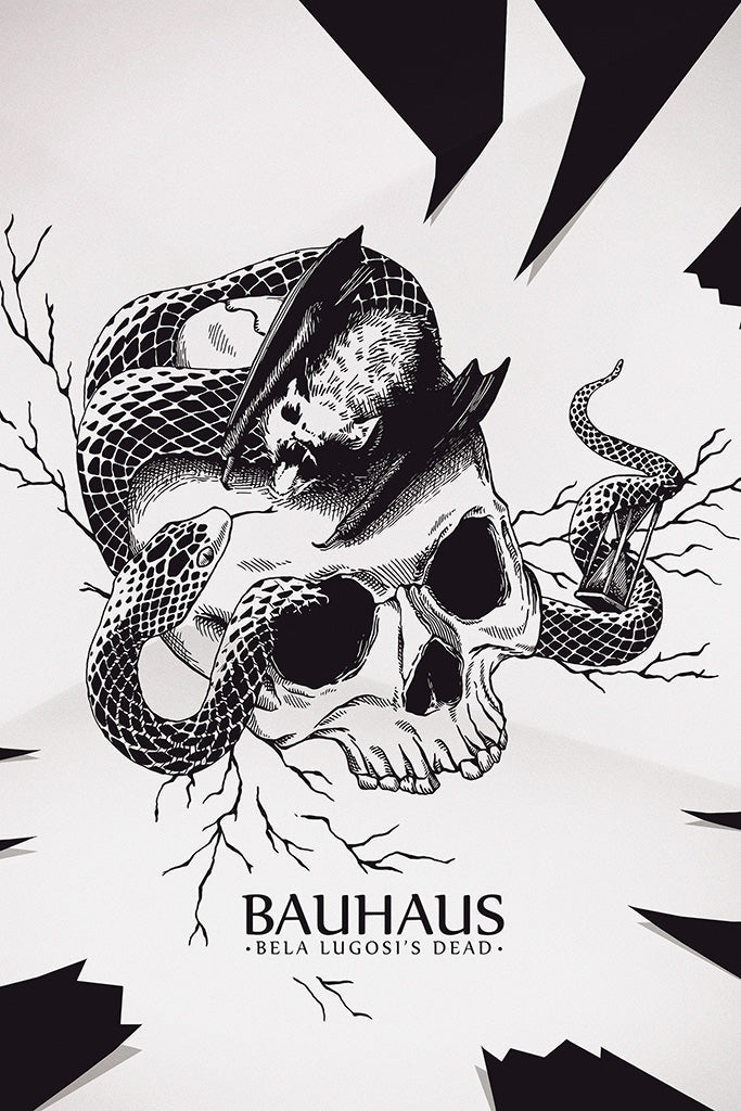 Bauhaus Pop Punk Band Black and White Poster