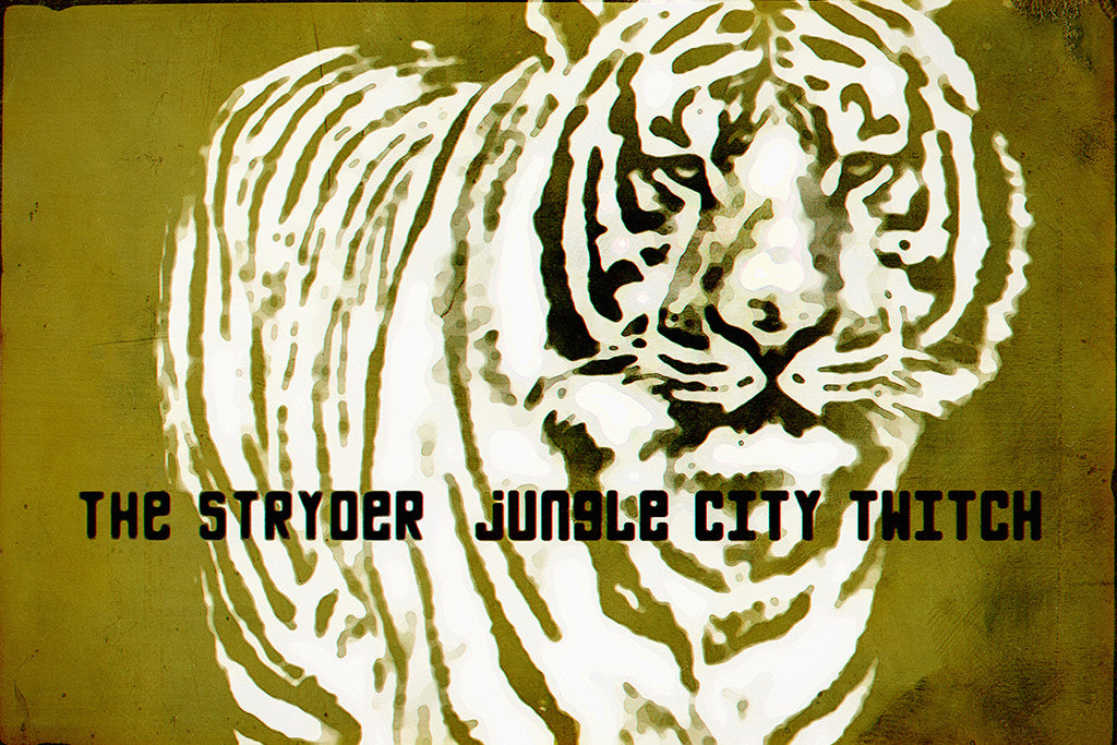 The Stryder Pop Punk Band Poster