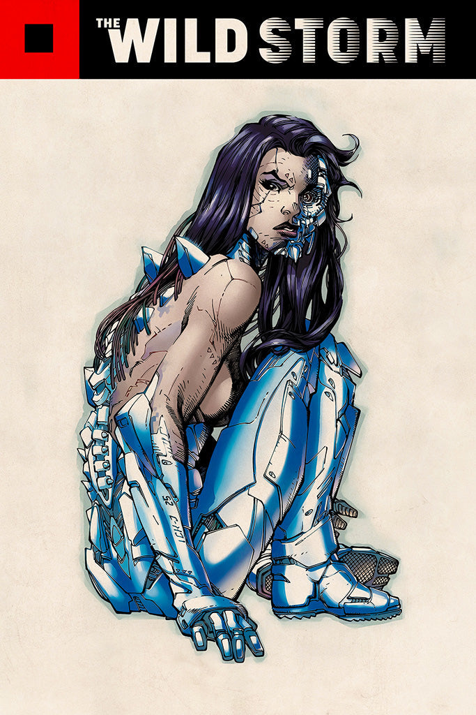 The Wild Storm Comics Art Poster