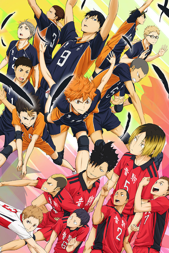 Haikyuu!! Karasuno Koukou vs Shiratorizawa Gakuen Koukou Anime Poster