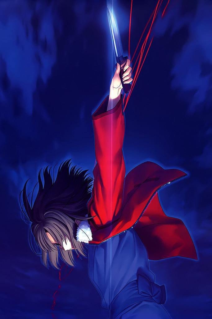 Kara No Kyoukai 5 Mujun Rasen Poster