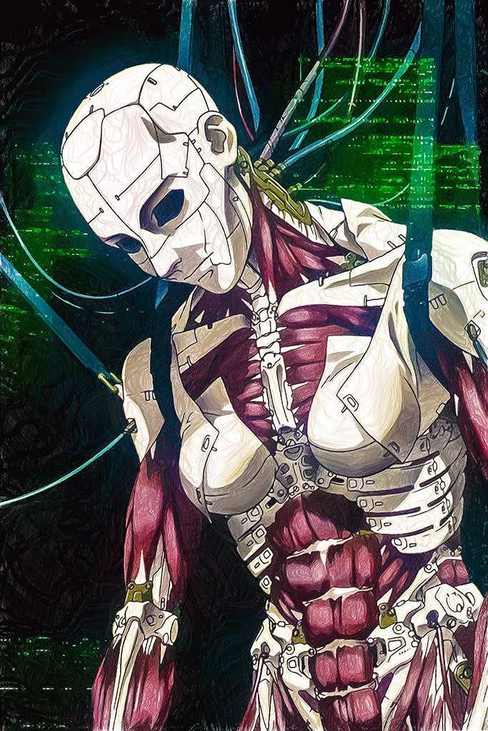 Ghost In The Shell Manga Anime Canvas Poster