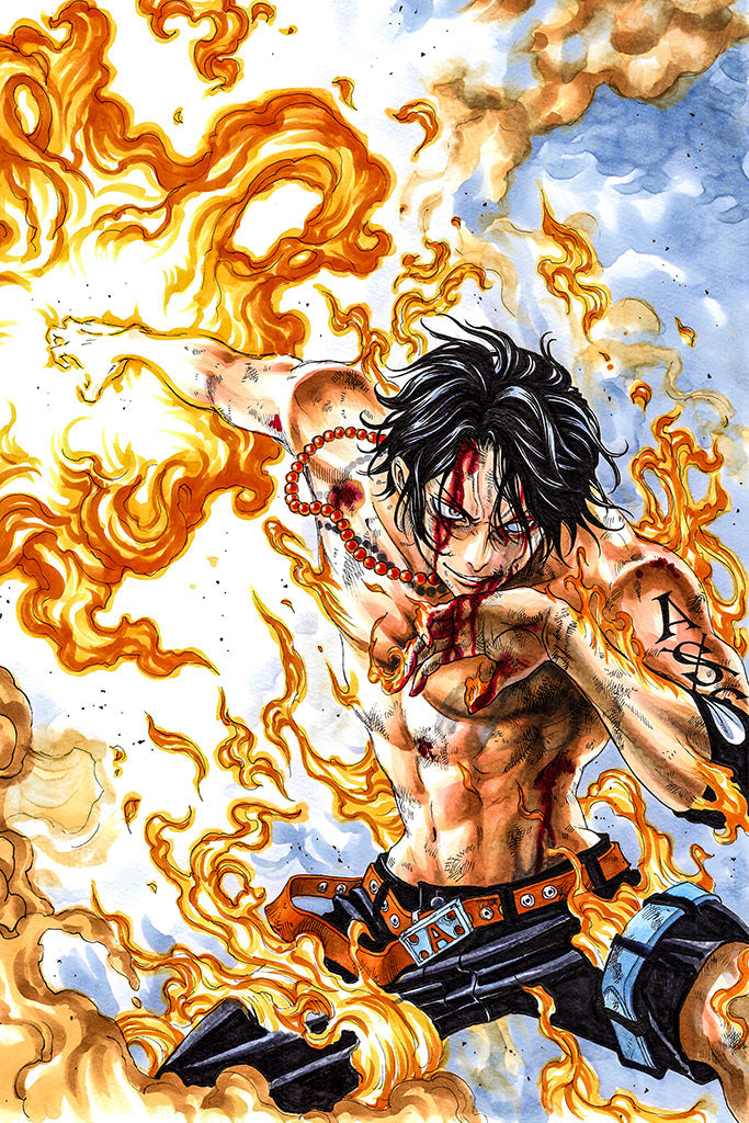 One Piece Film Z Anime Canvas Poster