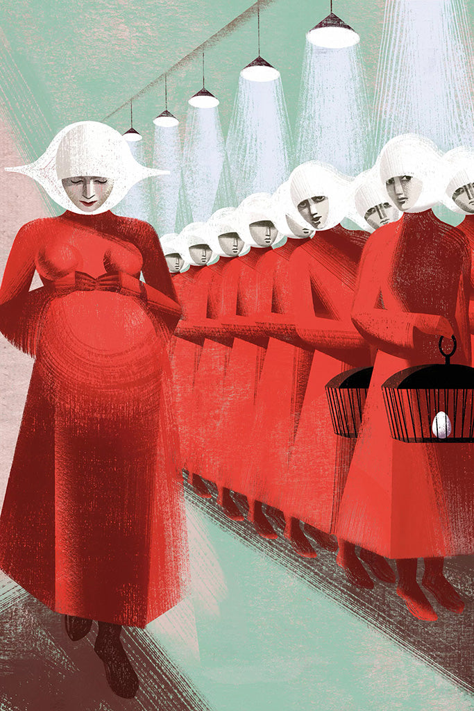 The Handmaid's Tale TV Show Canvas Poster