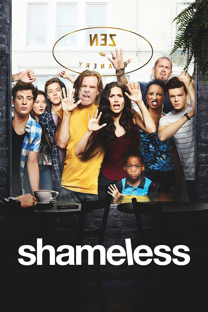 Shameless TV Show Canvas Poster