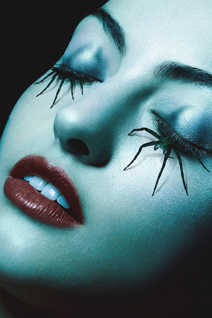 American Horror Story Canvas Poster