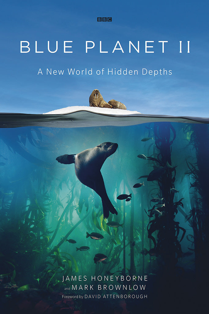 Blue Planet II TV Series Canvas Poster