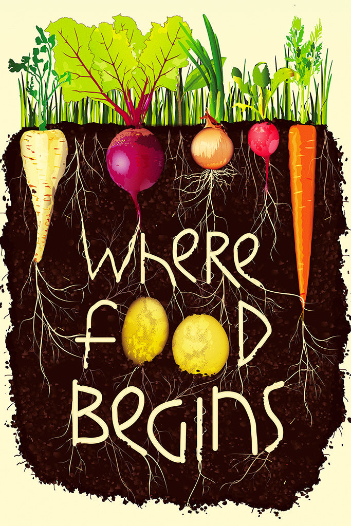 Where Food Begins Kitchen Canvas Poster