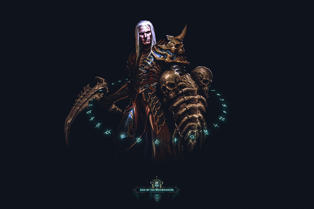 Diablo III Rise Of The Necromancer (4/8) Game Canvas Poster