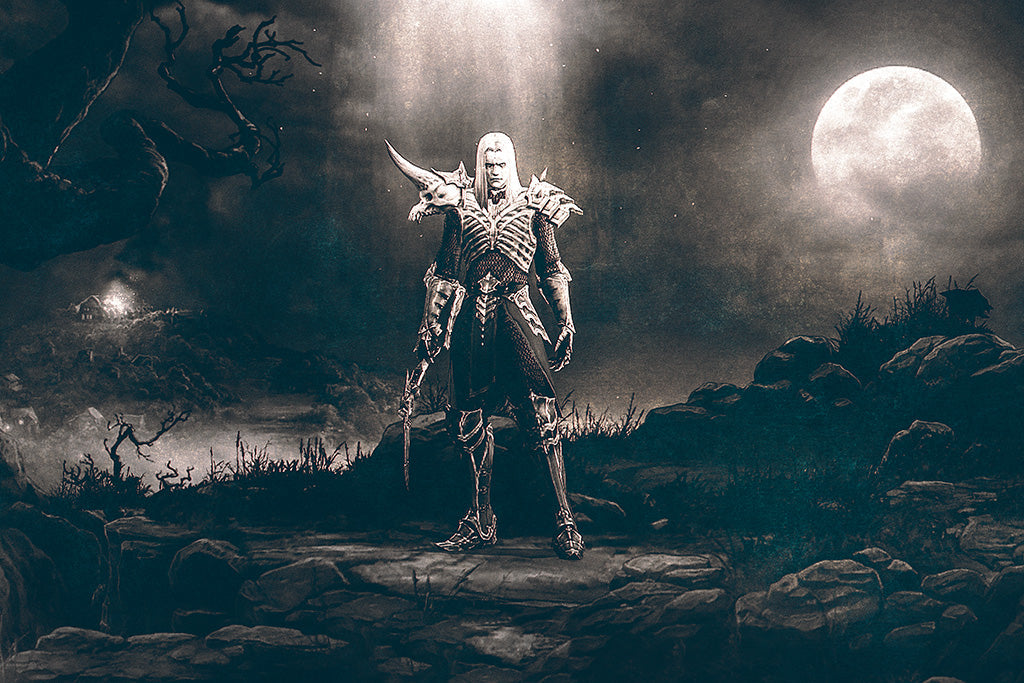 Diablo III Rise Of The Necromancer (8/8) Game Canvas Poster