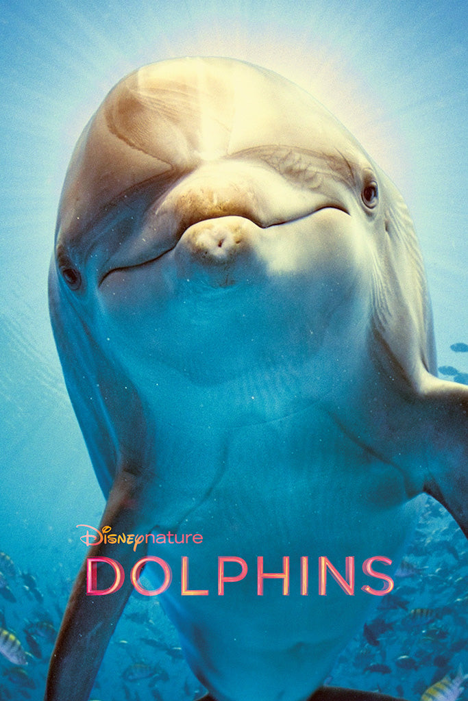 Dolphins Film Canvas Poster