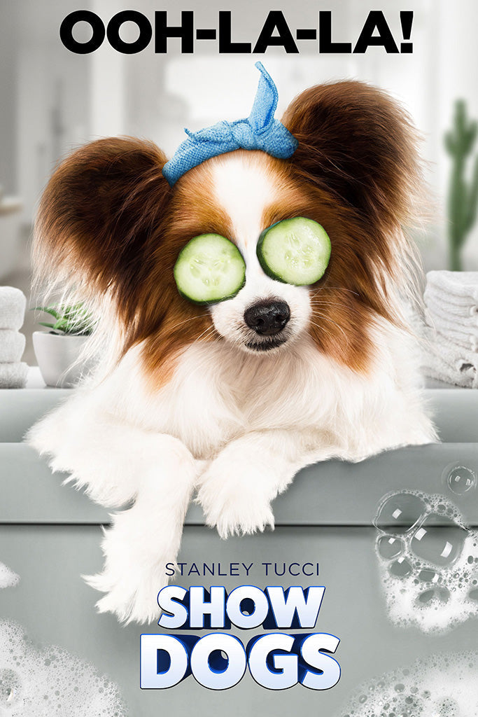 Show Dogs 2018 Canvas Poster