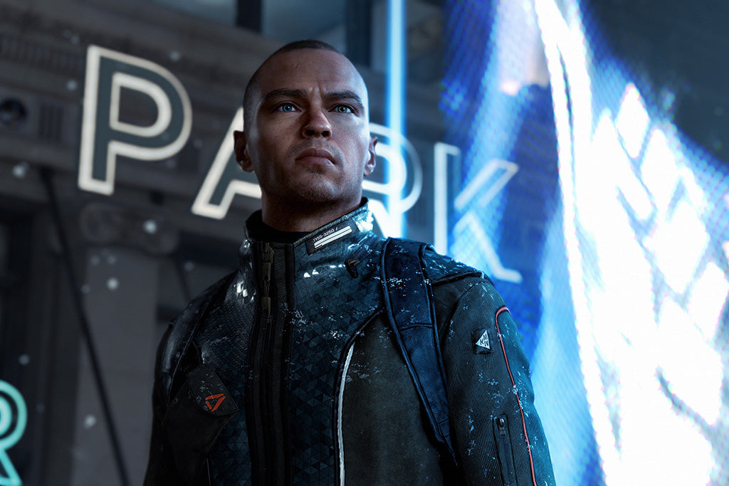 Detroit Become Human Canvas Poster