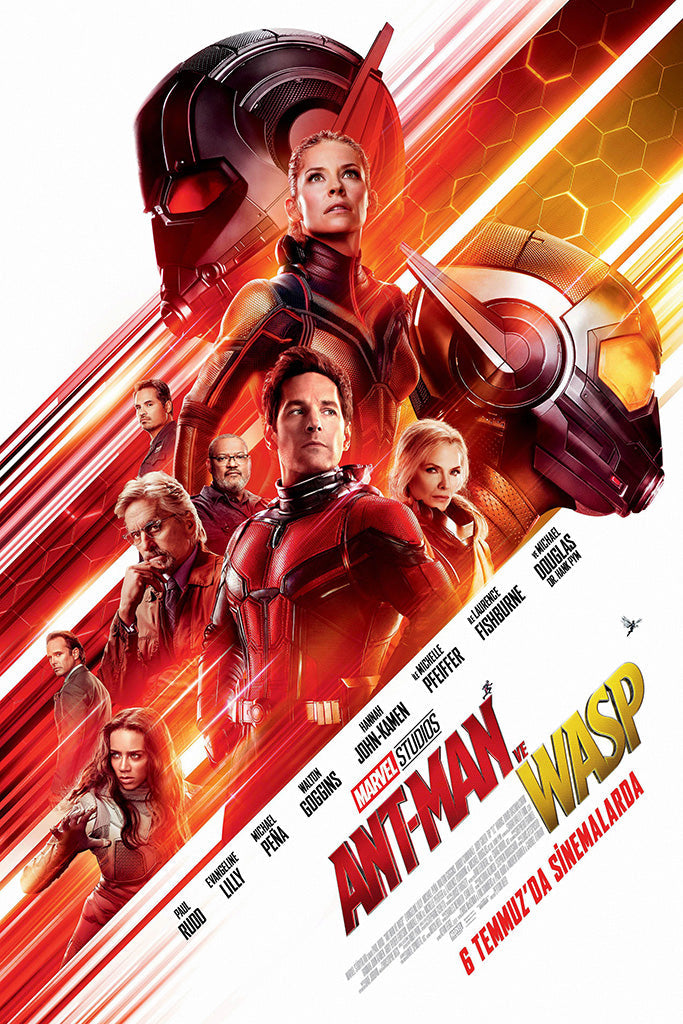 Ant Man And The Wasp Canvas Poster