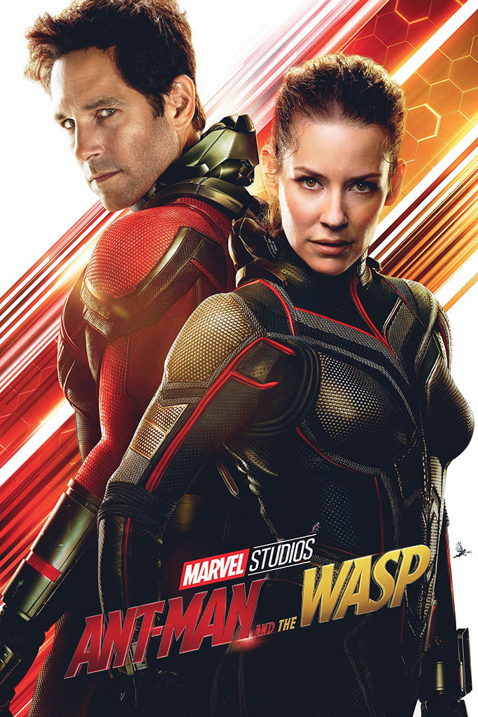 Ant Man And The Wasp Film Canvas Poster