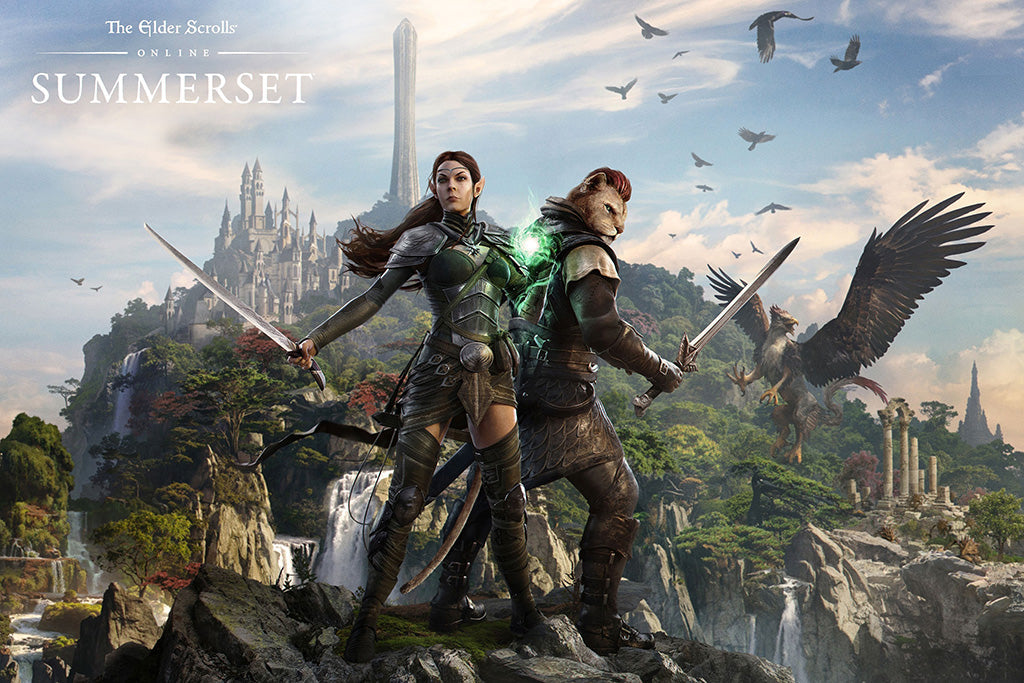 The Elder Scrolls Online Summerset Video Game Canvas Poster