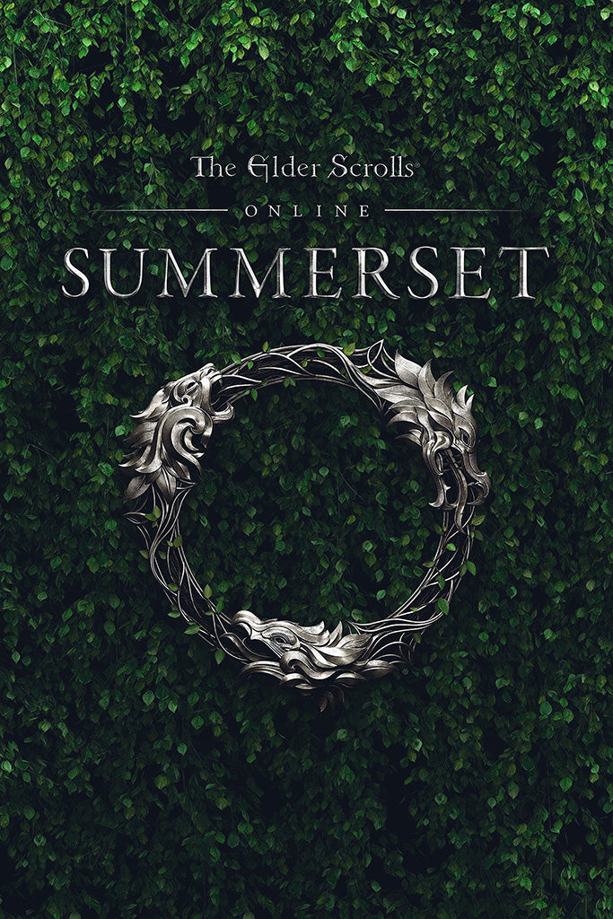 The Elder Scrolls Online Summerset Canvas Poster