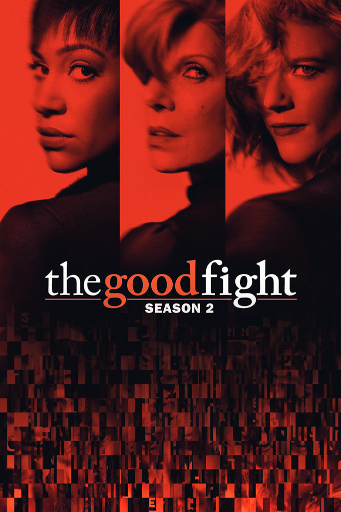 The Good Fight TV Show Movie Canvas Poster