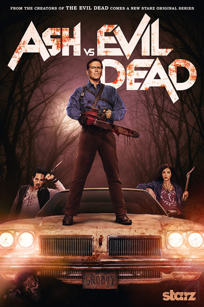 Ash vs. Evil Dead TV Show Canvas Poster