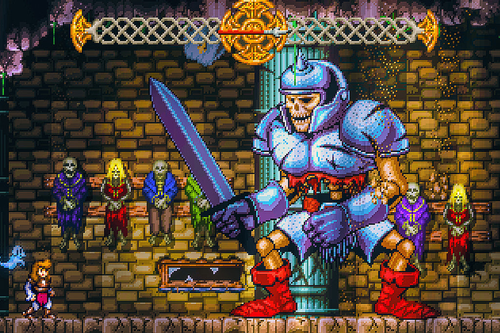 Battle Princess Madelyn Video Game Canvas Poster