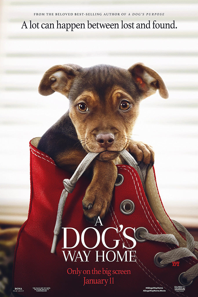 A Dog's Way Home Canvas Poster
