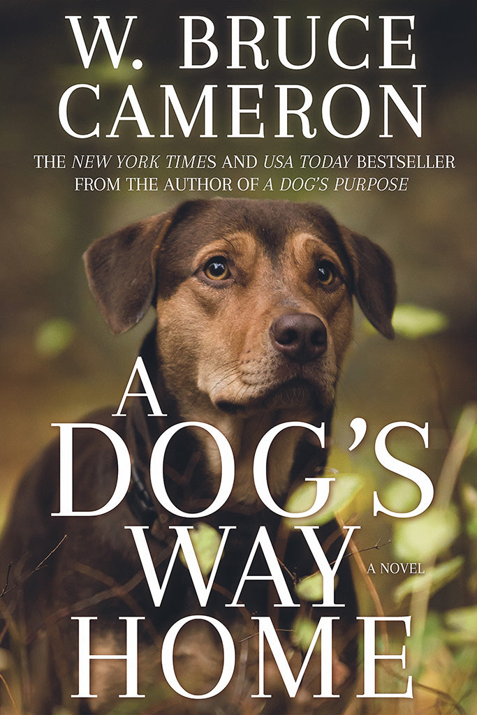 A Dog's Way Home Movie Canvas Poster