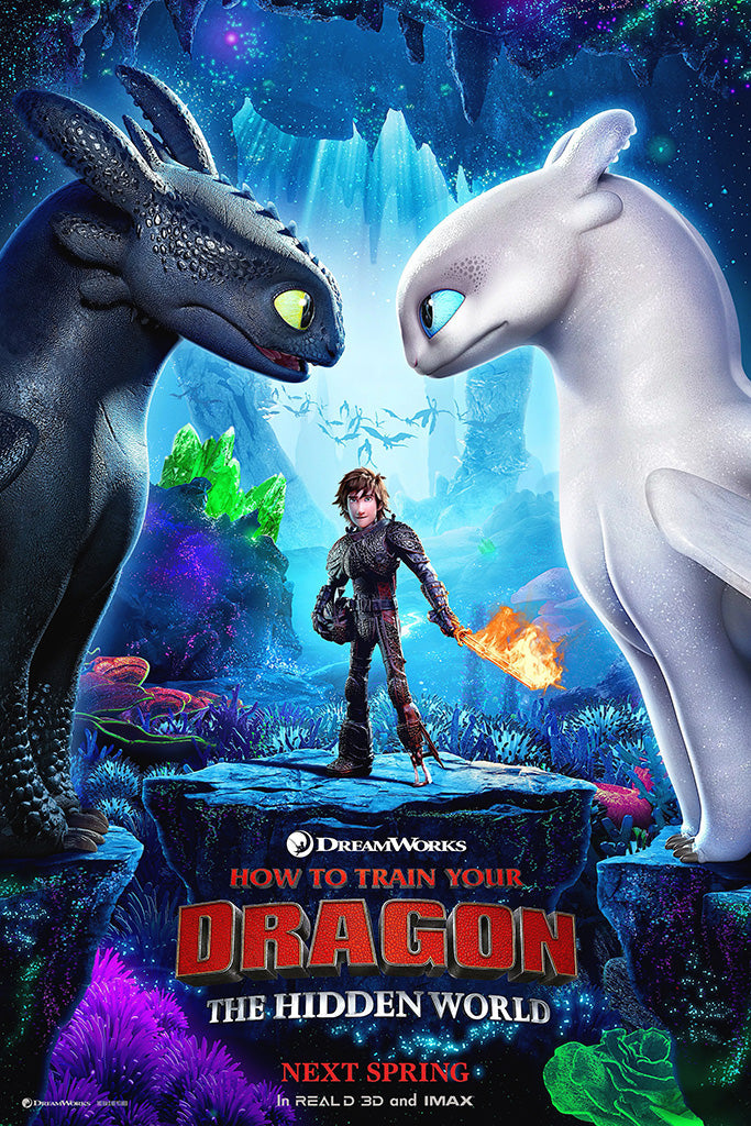 How to Train Your Dragon The Hidden World Canvas Poster