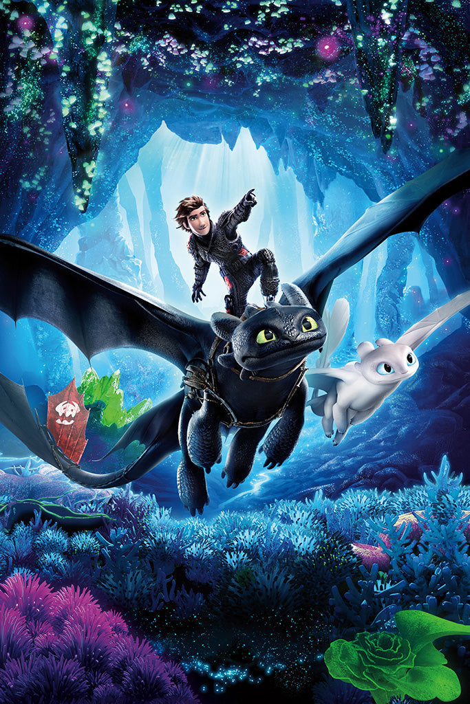 How to Train Your Dragon The Hidden World Movie Canvas Poster