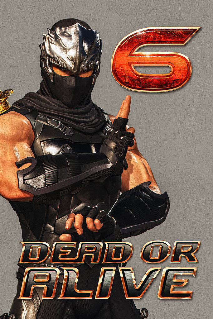 Dead or Alive 6 Video Game Canvas Poster