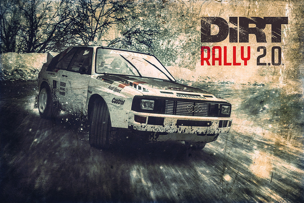 Dirt Rally 2.0 Video Game Canvas Poster