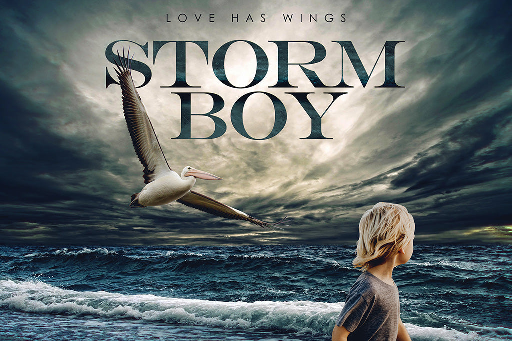Storm Boy Film Canvas Poster