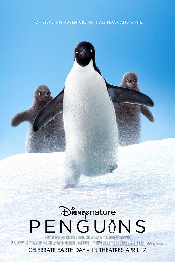 Penguins Canvas Poster