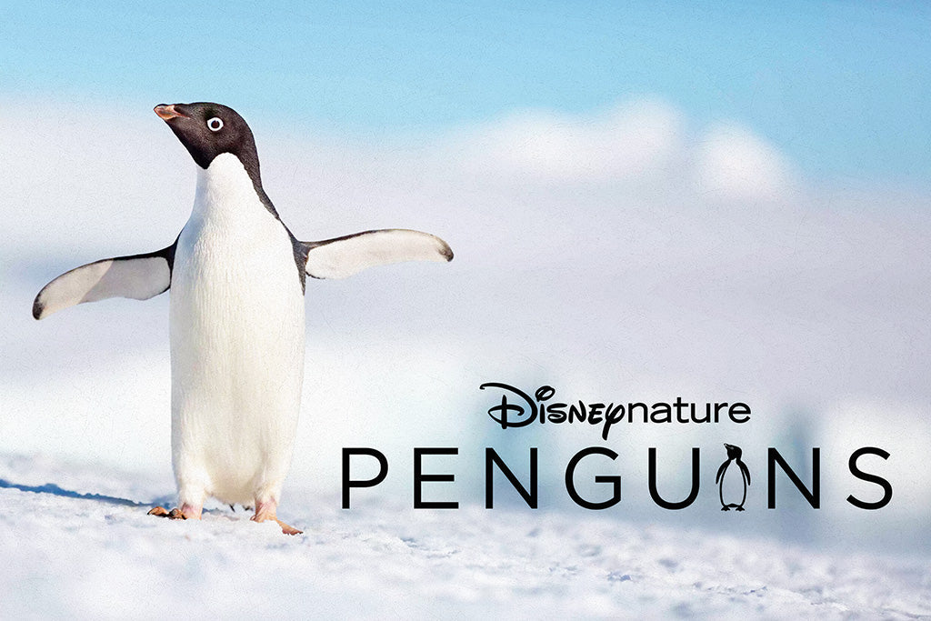 Penguins Movie Canvas Poster