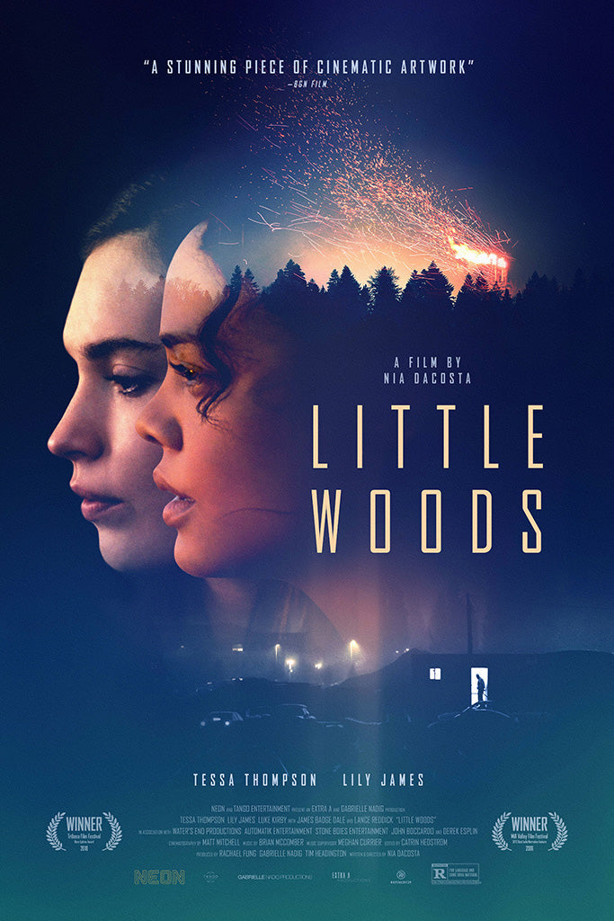 Little Woods Movie Canvas Poster
