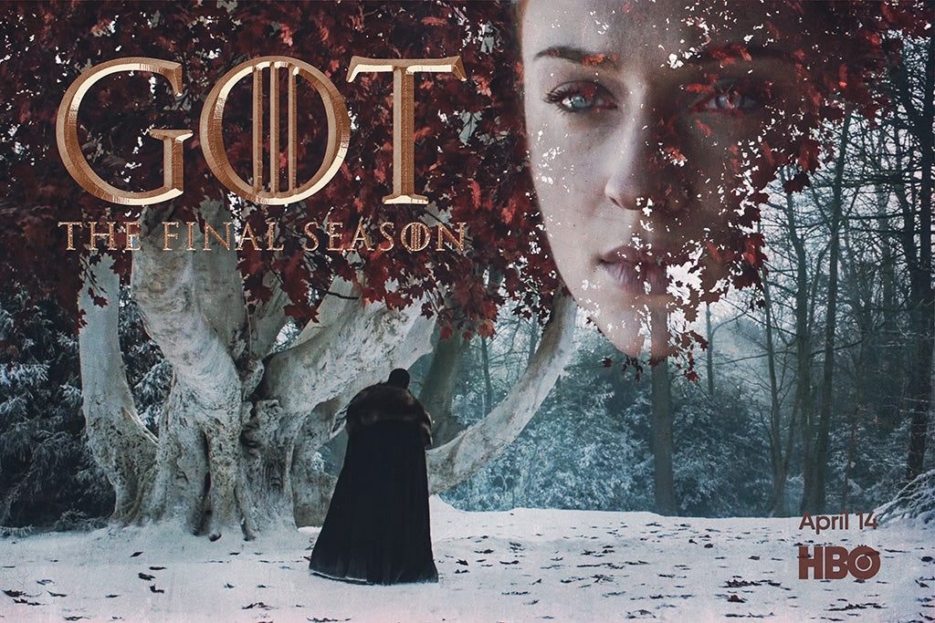 Game of Thrones Season 8 2019 Canvas Poster