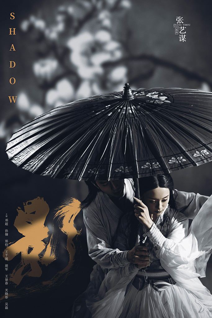 Shadow Movie Canvas Poster