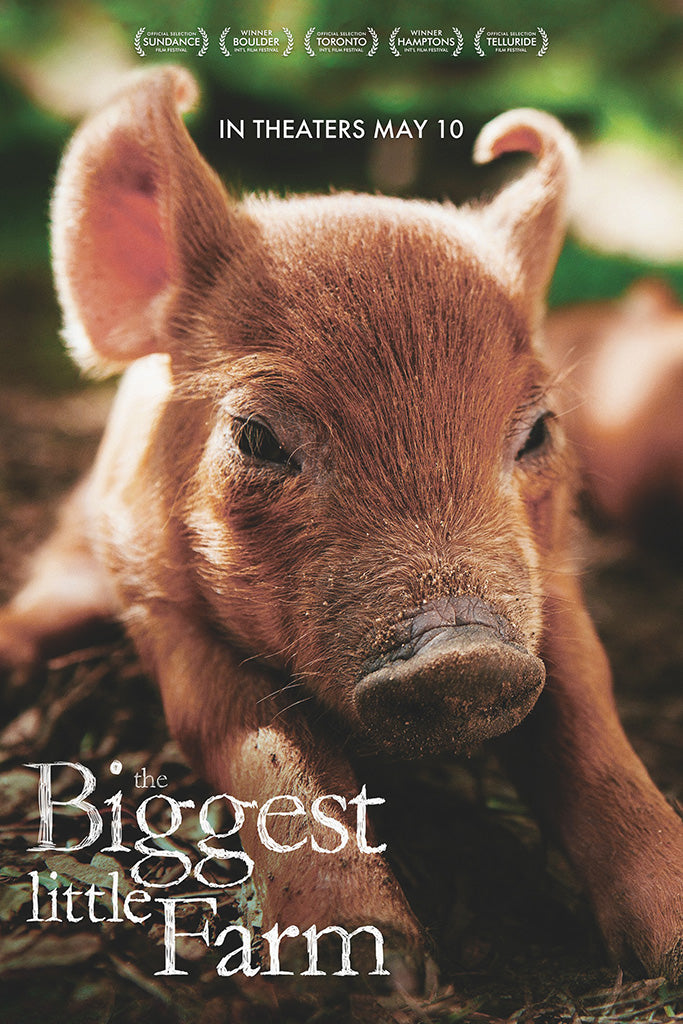 The Biggest Little Farm Film Canvas Poster